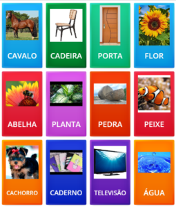 11- SERES NÃO VIVOS