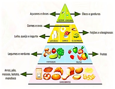 PIRAMIDE ALIMENTAR